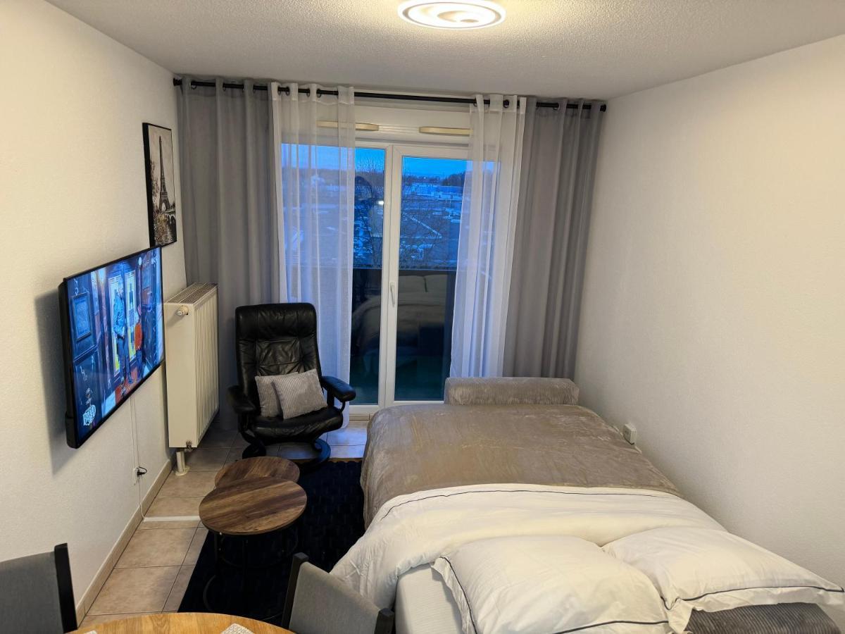 Appartement Calme Avec Balcon, A 4Km Du Centre, Parking, Wi-Fi, Netflix Gratuit Στρασβούργο Εξωτερικό φωτογραφία